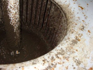 Mold growing in AC fan found during a mold inspection.