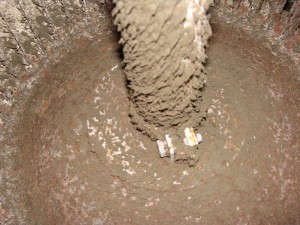 Close up view of Cladosporium mold growing in AC fan found during a mold inspection.