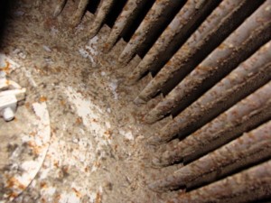 Close up view of mold growing in AC blower fan. This was found during mold testing, this is an extremly moldy AC blower fan.