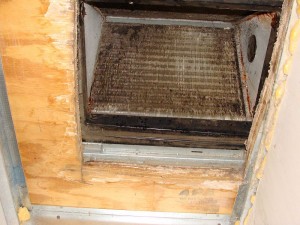 Moldy dirty AC coils