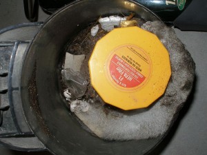 Mold in vacuum cleaner.