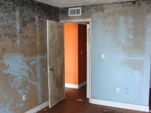 Mold in a Miami Condo we did a mold inspection on. 