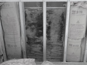 Stachybotrys or toxic black mold in walls of commercial building. This was found during a new construction mold inspection at a bank. 