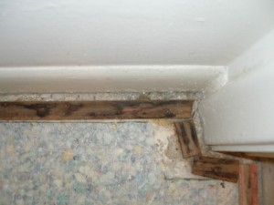 water stained tack strips found during a mold inspection. 