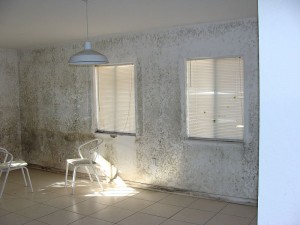 House mold problem we found during a mold inspection South of Miami. 