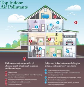 Indoor Air Quality Infographic showing the most common residential air quality pollution sources.