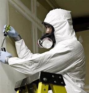 Mold remediation or testing.