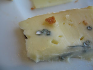 Rotten moldy cheese contaminated with bad molds.