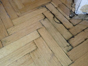 Closer view of mold coming up between the floorboards. 