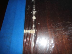 Mold under wood floor. White Pen Asp mold coming up from between floorboards.