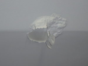 The Paston Effect caused water damage at a ceiling in a Wellington Florida home near the Northern Everglades.