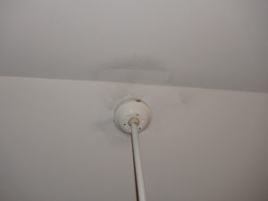 Mold growing where a ceiling fan attaches to a ceiling. 