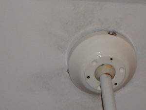 When this warm wet attic air escapes from the attic and enters the home it touches the cold air conditioned ceilings upstairs. This causes condensation to form. The condensation triggers mold growth. This is part of the Paston Effect. 