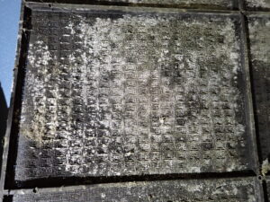 Moldy Air Conditioner filter #1