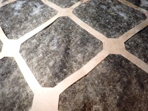 Closer view of moldy and dirty AC filter. What we are looking at is primarily mold. 